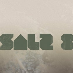 Salz 8 (feat. Don Abi)