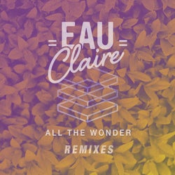 All The Wonder Remixes