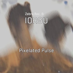 Pixelated Pulse