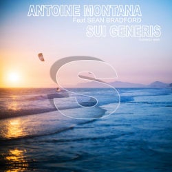 Sui Generis (rockstarzz Remix)