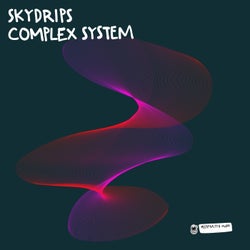 Complex Systems