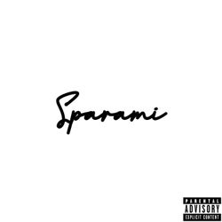 SPARAMI
