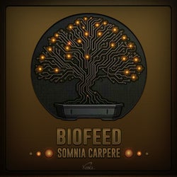 Somnia Carpere