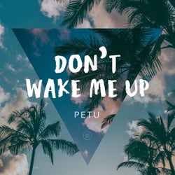 Don't Wake Me Up