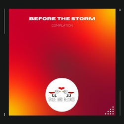 Before the Storm