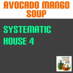 Systematic House, Vol. 4