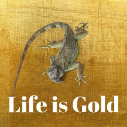 LIFE IS GOLD