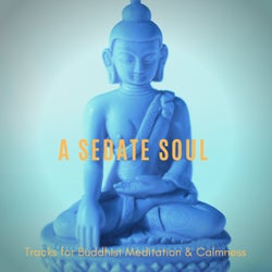 A Sedate Soul - Tracks For Buddhist Meditation & Calmness