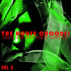 The House Choons!, Vol. 3