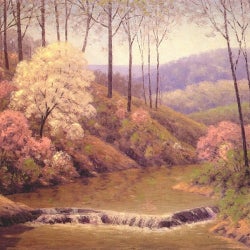 Spring Cascade