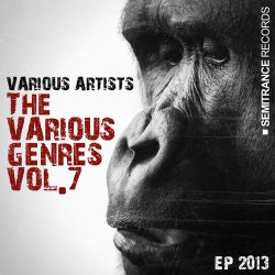 The Various Genres Vol.7 Ep 2013