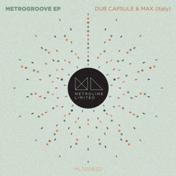 Metrogroove EP