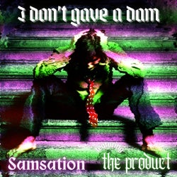 I don't gave a dam