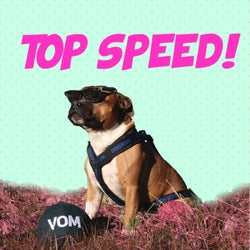 DogrunSangen (Dogrunsangen topspeed)