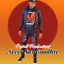 Never Say Goodbye