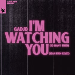 I'm Watching You (So Many Times) - Sean Finn Remix
