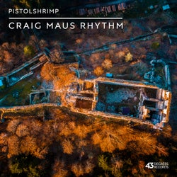 Craig Maus Rhythm