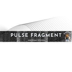 Pulse Fragment