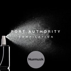 Port Authority