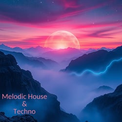 DJ INSTALLATION / DECEMBER 2024 CHART