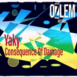 Consequence Of Damage