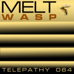Wasp EP