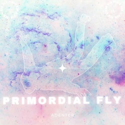 Primordial Fly