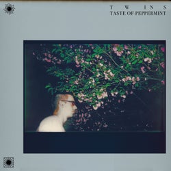 Taste of Peppermint