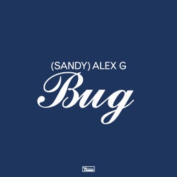 Bug