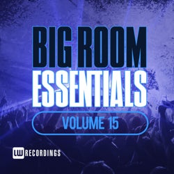 Big Room Essentials, Vol. 15