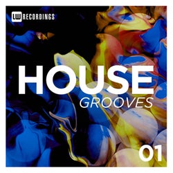 House Grooves, Vol. 01