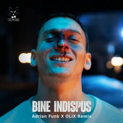 Bine Indispus (Adrian Funk X OLiX Remix)