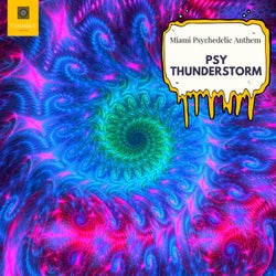 Psy Thunderstorm - Miami Psychedelic Anthem