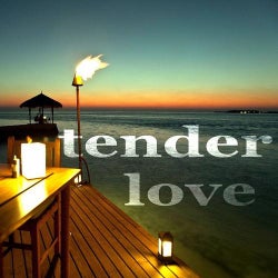 Tender Love (Vocal House Music)