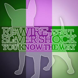 You Know the Way (feat. Sliver Shock)