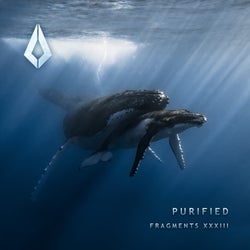 Purified Fragments XXXIII