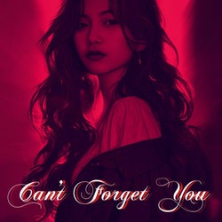 Can't Forget You