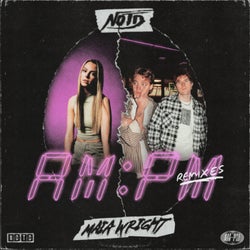 AM:PM (Remixes)