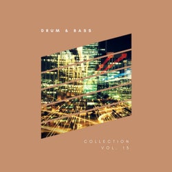 Sliver Recordings: Drum & Bass, Collection, Vol. 13