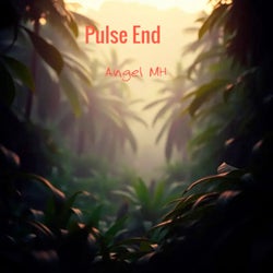 Pulse End