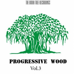 Progressive Wood, Vol. 3