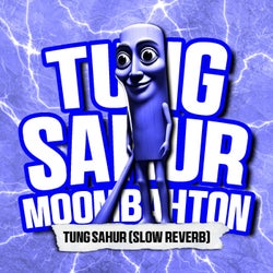 TUNG SAHUR (SLOWED + REVERB)