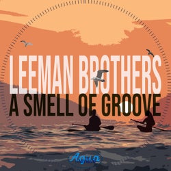 A Smell of Groove