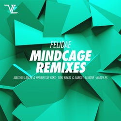 Mindcage Remixes