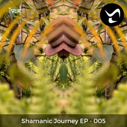 Shamanic Journey 5