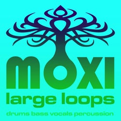 Moxi Large Loops Volume 4