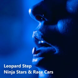 Ninja Stars & Race Cars