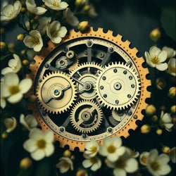 Gears of Possibility