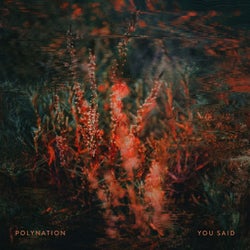 You Said