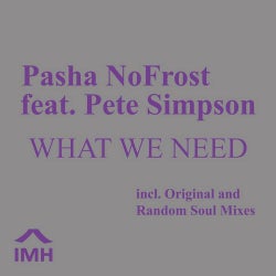 What We Need (Pasha NoFrost feat. Pete Simpson)